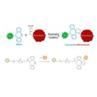 DBCO-PEG-NHS/MAL/DSPE/SH/NH2 /CHO/OPSS/CY5.5