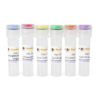 BeyoCRISPR™ Quick Construction Kit (mOrange2
