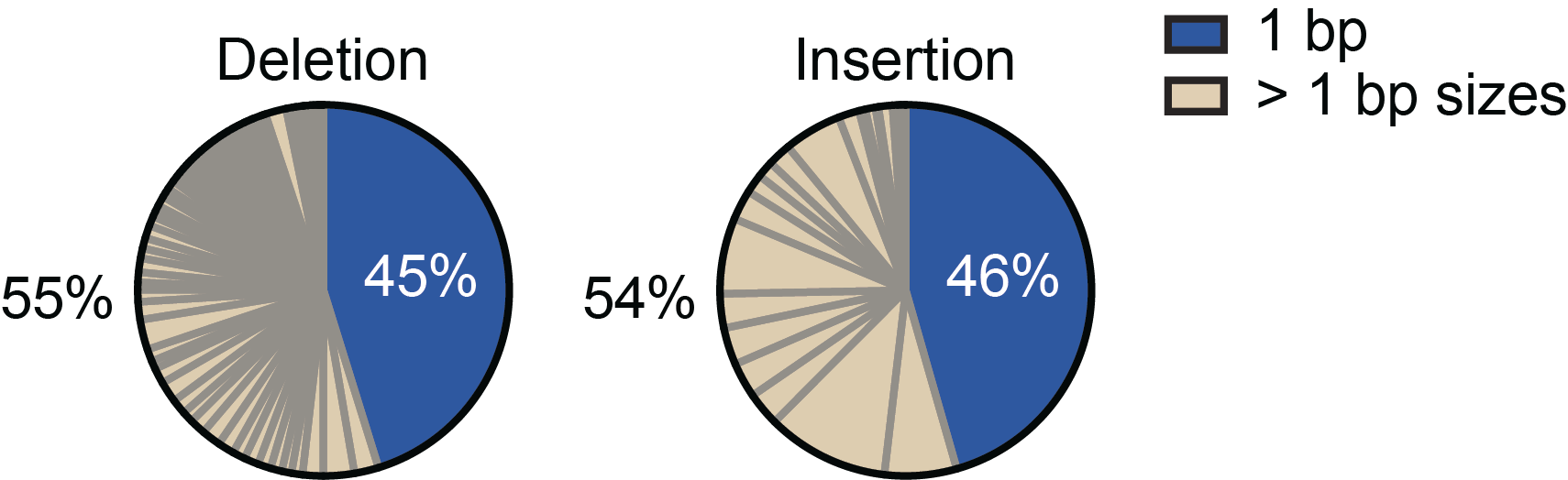 Sci Immunology | 南模生物助力揭示抗体多样化过程中抗体基因DNA片段缺失和插入产生的分子机制