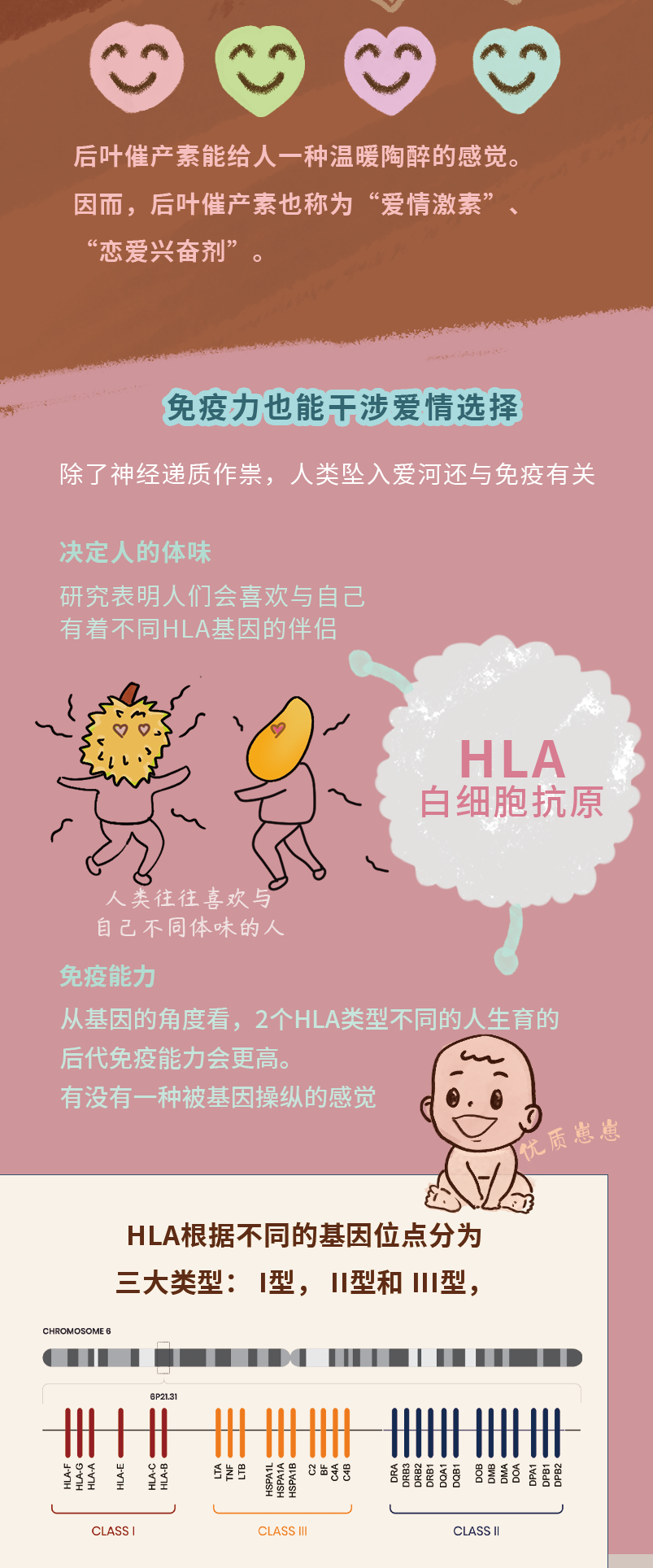 藏在基因里的爱情密码，我只告诉你一个人！