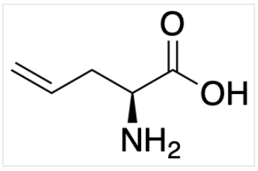 艾美捷 LKT Labs L-烯丙基甘氨酸解决方案 艾美捷 LKT Labs L-烯丙基甘氨酸解决方案
