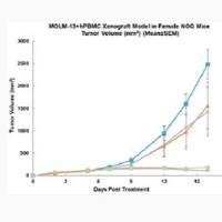 人源化肿瘤移植模型