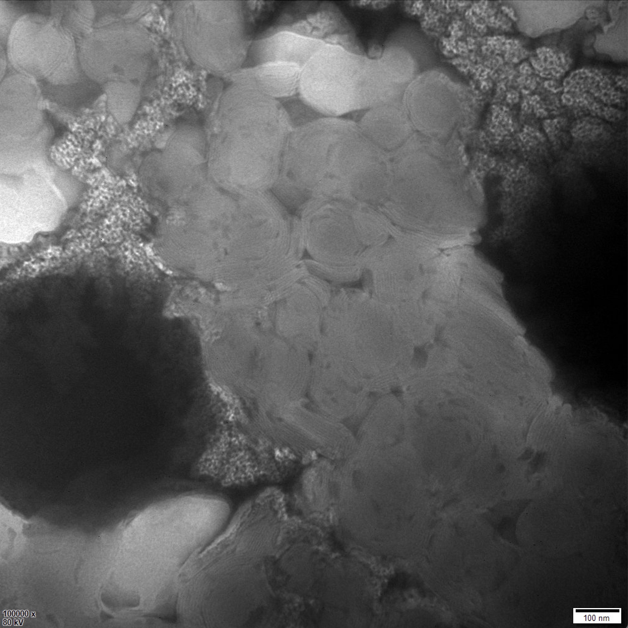 供载药多层脂质体