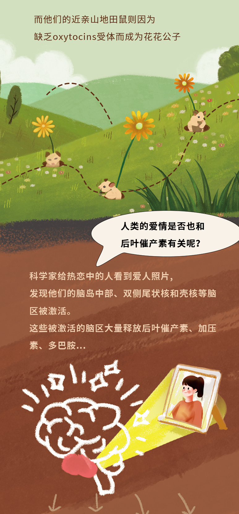 藏在基因里的爱情密码，我只告诉你一个人！