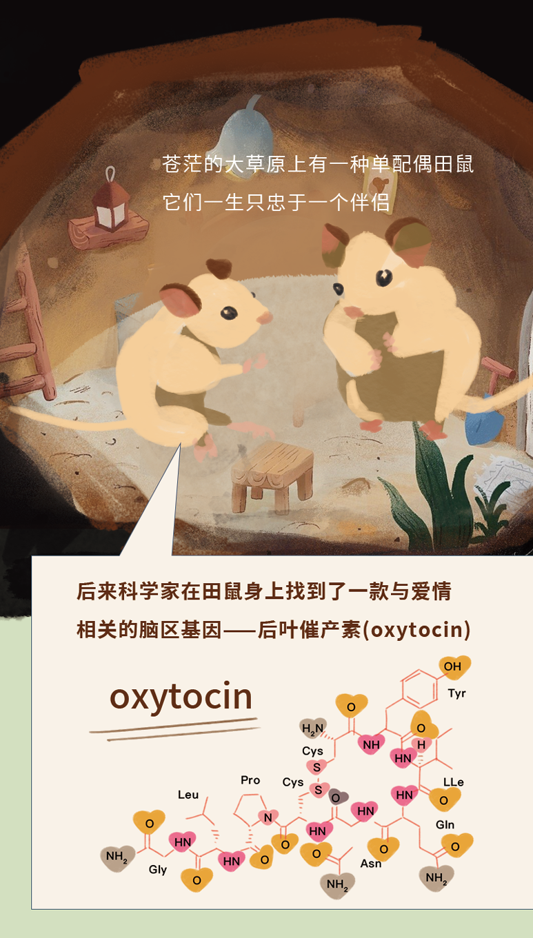 藏在基因里的爱情密码，我只告诉你一个人！