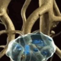 PLGA-PEG-PLGA 温敏水凝胶±15°±20°±25°±30°