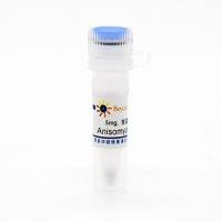 Anisomycin (JNK激活剂)