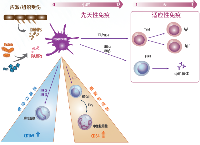 微信图片_20230523154353.png