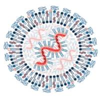 核酸递送辅料SM-102/ALC-0105/ALC-0315/DOTAP/DC-Chol