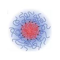 PEG-PLA/PCL/PLGA 嵌段共聚物用于药物递送