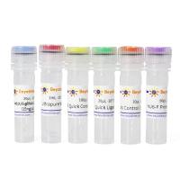 BeyoCRISPR™ Quick Construction Kit (Puro)