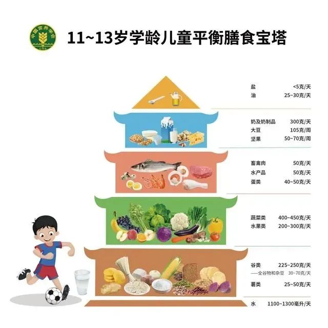 学龄儿童的食养 tips｜全民营养周系列科普⑤