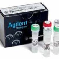 猪成分检测试剂盒