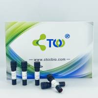 TUNEL凋亡检测试剂盒（FITC）