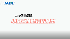 丁香实验推荐阅读