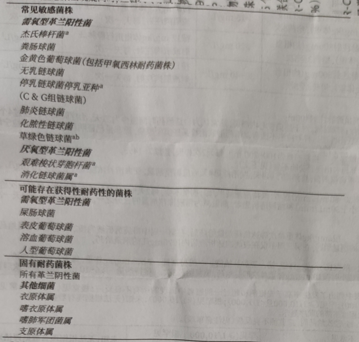 图片预览