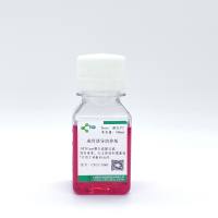 干细胞诱导分化培养基成骨诱导培养基