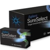 病原体靶向测序 Panel