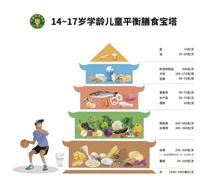 学龄儿童的食养 tips｜全民营养周系列科普⑤