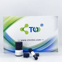 Annexin V-FITC/PI细胞凋亡检测试剂盒