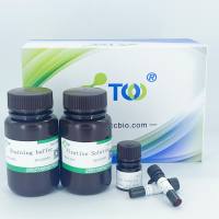 β-gal衰老检测试剂盒