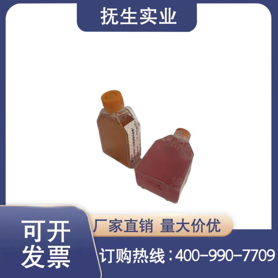猪骨骼肌卫星细胞永生化