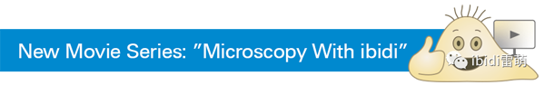 如何避免弯液面？ibidi提供多种解决方案优化相差显微镜成像~