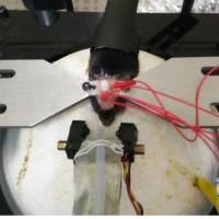 电生理技术服务