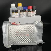 过氧化物酶(POD)试剂盒,微板法