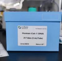 Human Cot-1 DNA