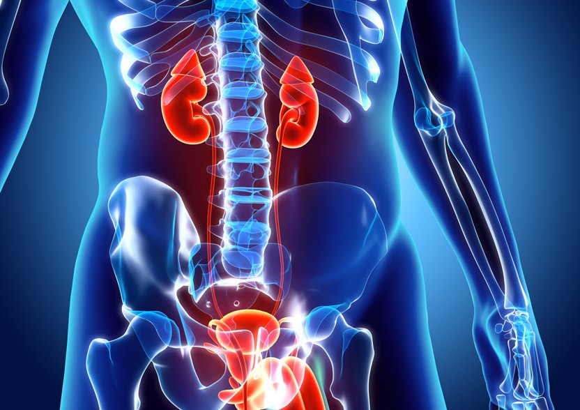 新产品发布：组织外泌体提取试剂盒