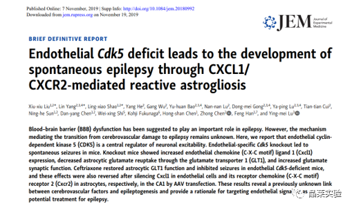 五分钟文献解读之 “内皮细胞Cdk5缺失通过CXCL1/CXCR2介导的反应性星形胶质细胞增生导致自发性癫痫的发展”