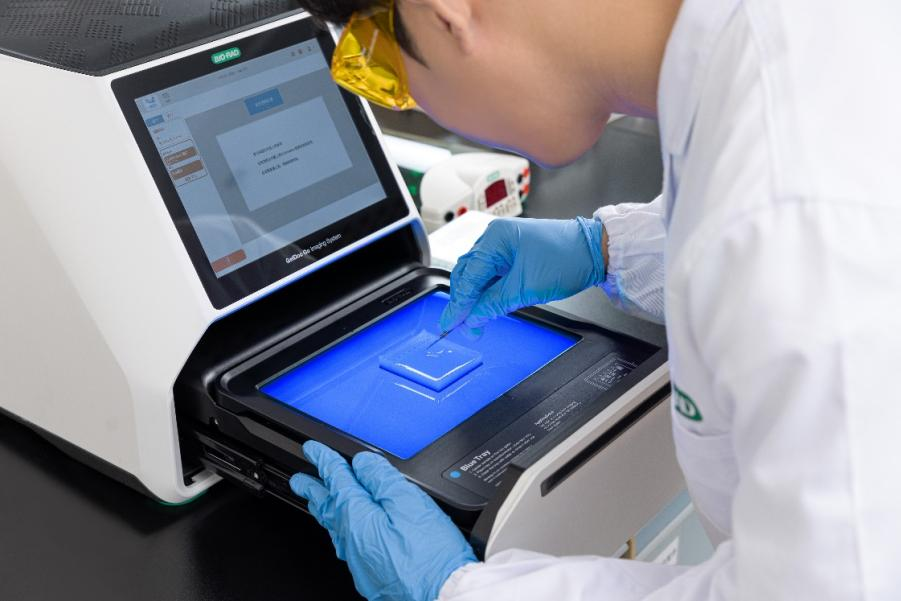 大离谱！从没想过实验室「一血」会贡献给切胶