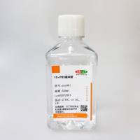 磷酸盐缓冲液,10×PBS缓冲液