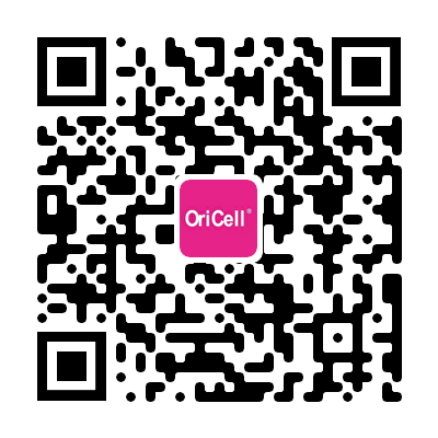 MSC诱导软骨操作及常见问题解析 技术应用是什么?|云课堂