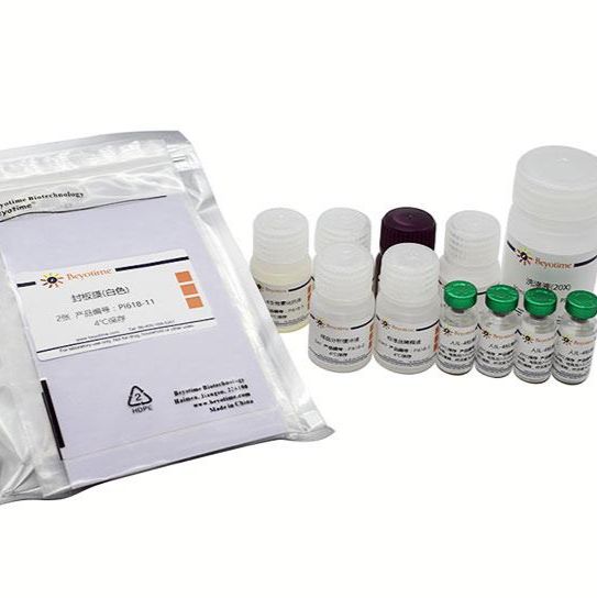 (麦飞生物)碧云天(beyotime)原装正品 现货促销