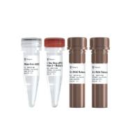 HiScript III U+ One Step qRT-PCR Probe 5× Master