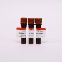 GelGreen核酸凝胶染料/核酸染料/EB替代品||Biotium 41005