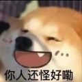 user-title