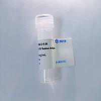 登革热(Dengue virus I-II-III-IV融合)