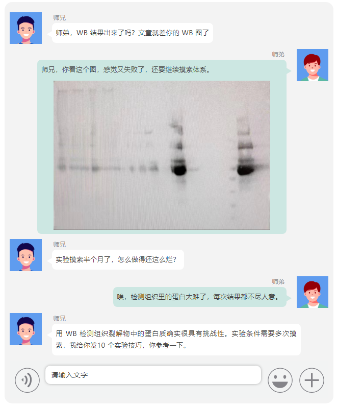 实验做到崩溃？这 10 个技巧让做出发表级 WB 图