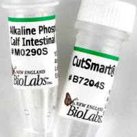 (麦飞生物)NEB原装正品 现货促销