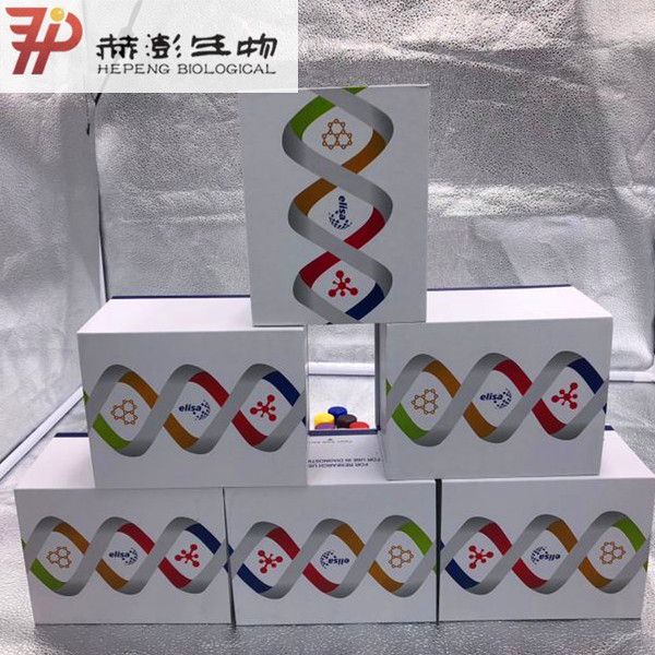 总糖含量试剂盒
