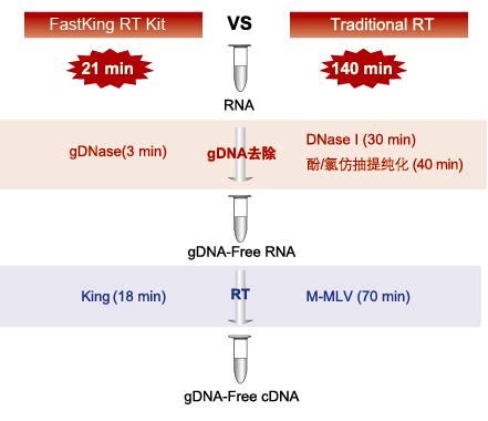 FastKing cDNA 第一链合成试剂盒 ( 去基因组 