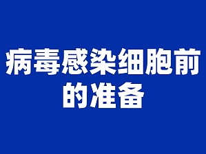 丁香实验推荐阅读