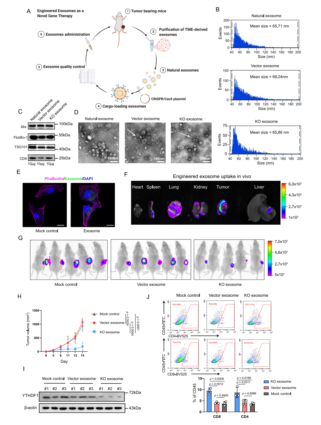 【烈冰助力】单细胞技术揭示肿瘤细胞驱动的免疫逃逸机制