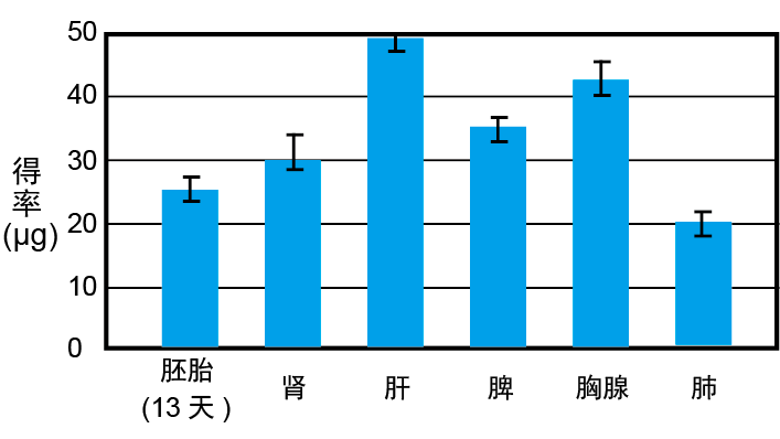 RNAprep pure动物组织总RNA提取试剂盒（DP43