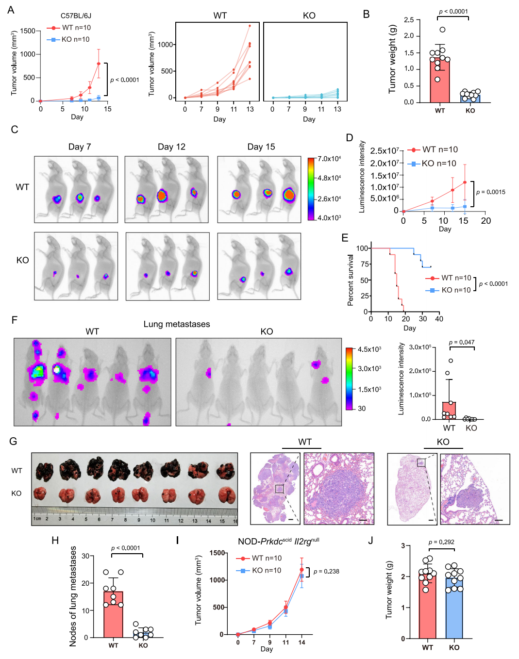【烈冰助力】单细胞技术揭示肿瘤细胞驱动的免疫逃逸机制