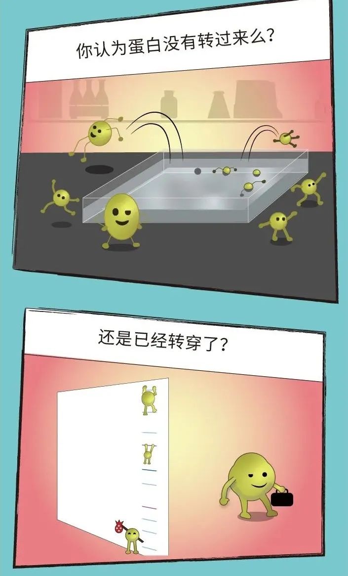 新闻图片3
