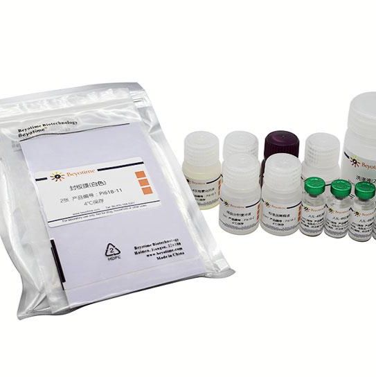 （麦格生物）碧云天（beyotime）原装正品 现货促销